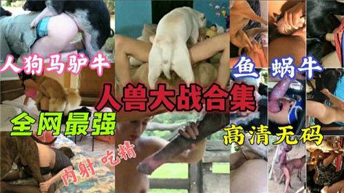 人兽大战激情合集